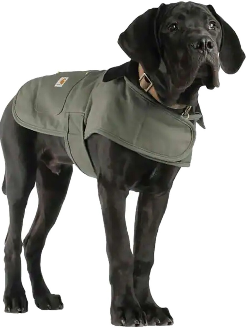 Carhartt Dog Coat LARGE Khaki Green Insulated Firm Duck Chore Jacket PX0340